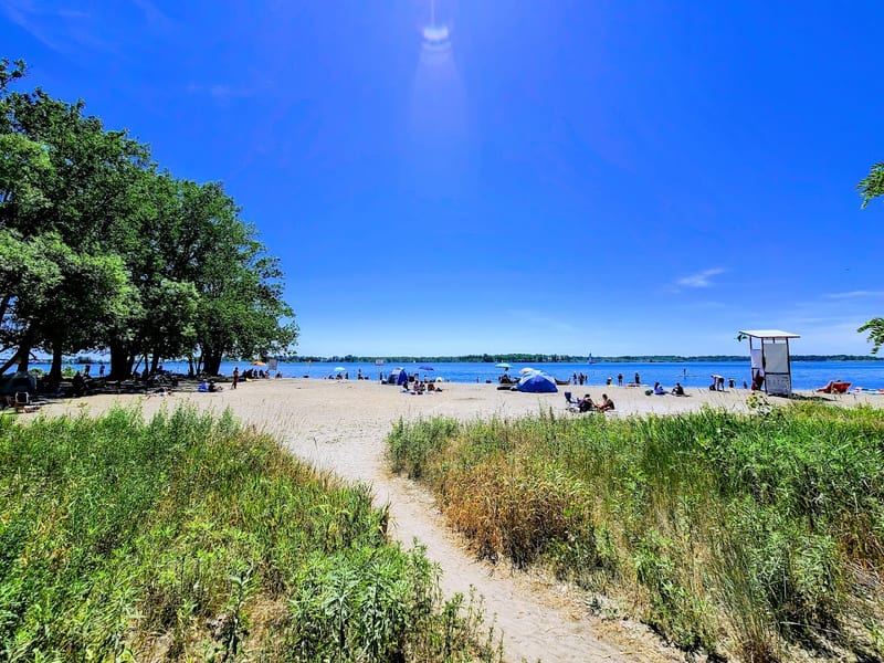 Cherry Beach Dogs Off-Leash Area (Clarke Beach Park)