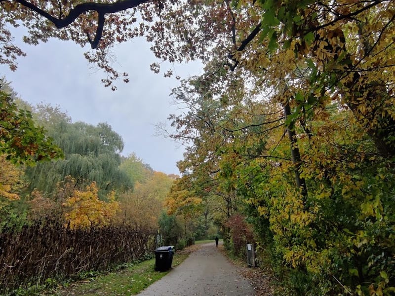 High Park Dogs Off-Leash Area