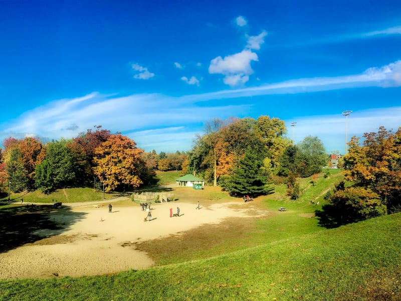 Trinity Bellwoods Park Off-Leash Area