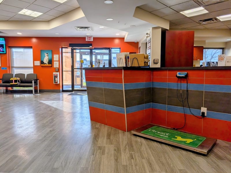 Toronto Veterinary Emergency Hospital