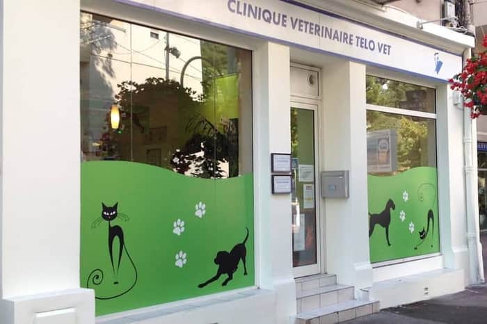 Telo Vet (Urgence Vétérinaire Toulon)