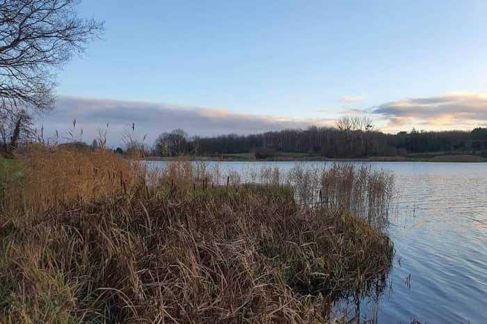 Lac de Rillé (Pincemaille)