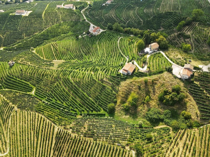 Prosecco Hills (Conegliano-Valdobbiadene)