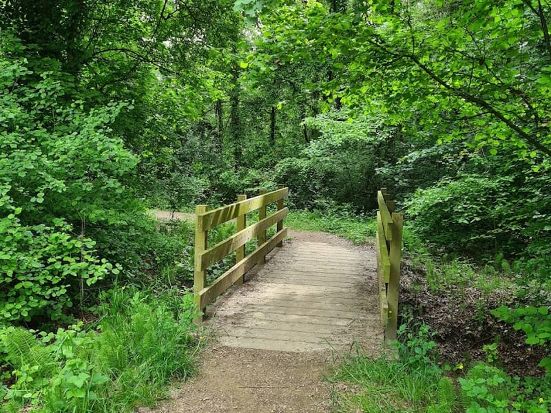 Parco dello Storga