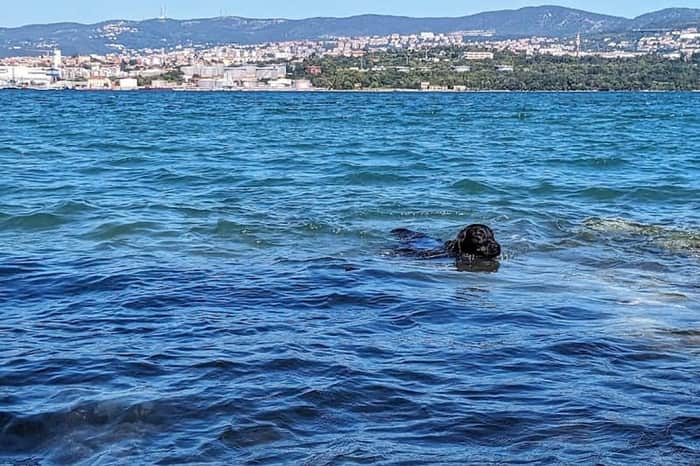 Lido Muggia (Bau Beach Muggia)