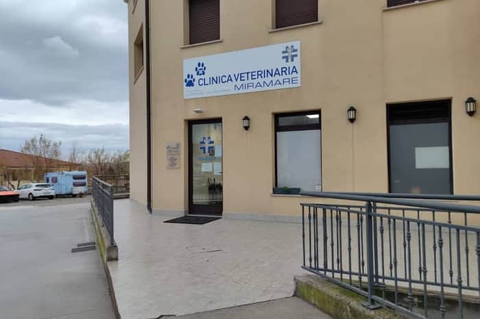 Clinica Veterinaria Miramare