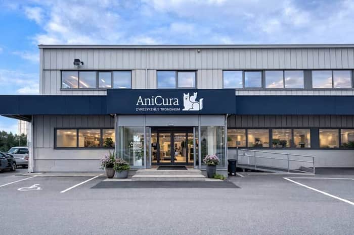 AniCura Trondheim Smådyrklinikk