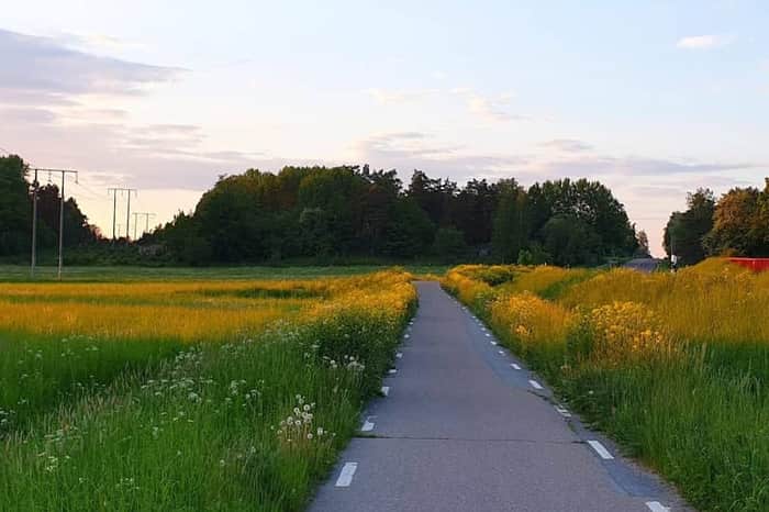 Gamla Uppsala