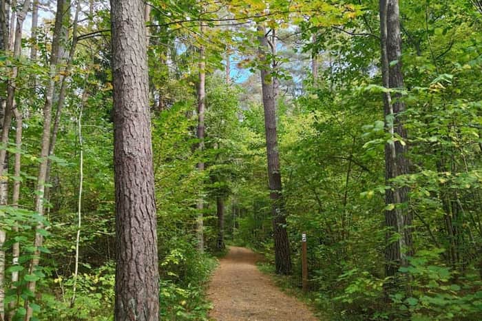 Stadsskogens naturreservat