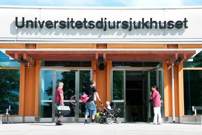 SLU Universitetsdjursjukhuset (UDS)