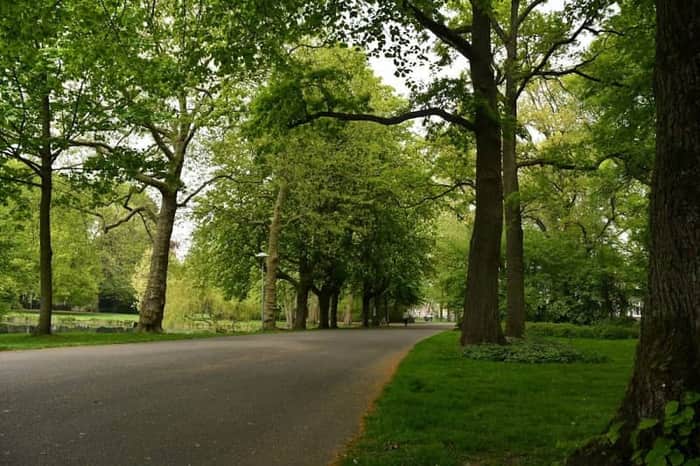 Wilhelminapark