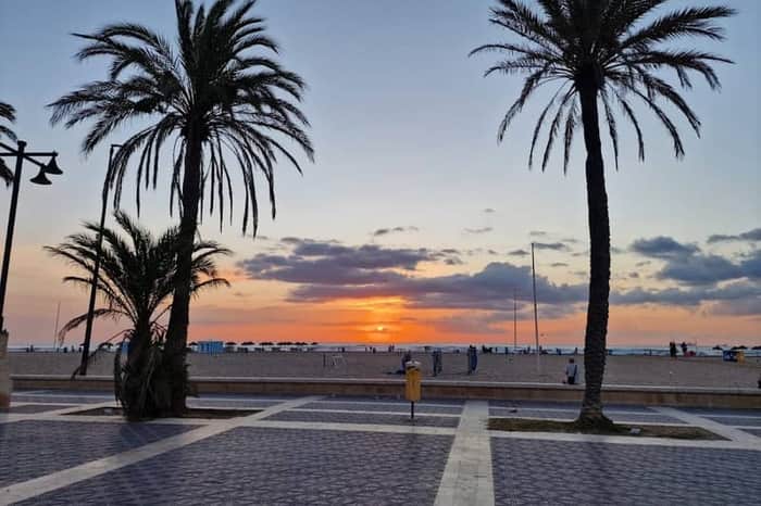 Playa de las Arenas, Northern Dog Section