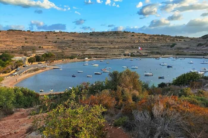 Mistra Bay Dog Beach