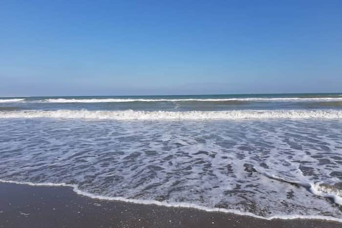 Lido di Venezia, Dog Beach Section (North End)