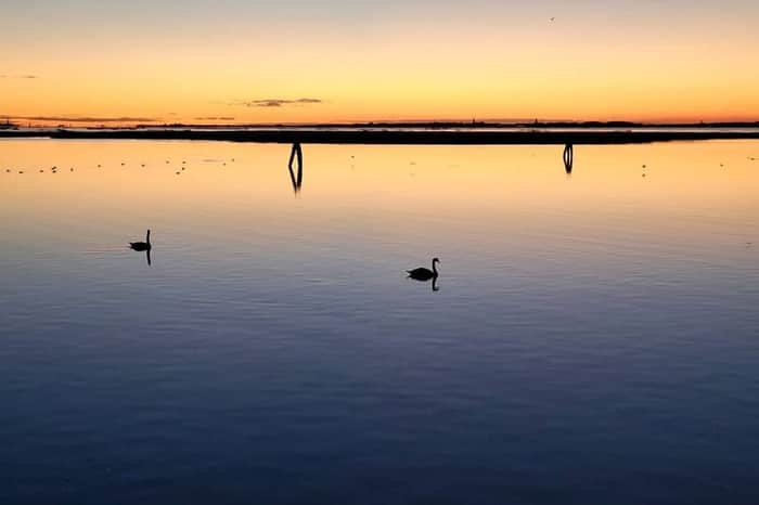 Parco San Giuliano (Mestre Mainland)