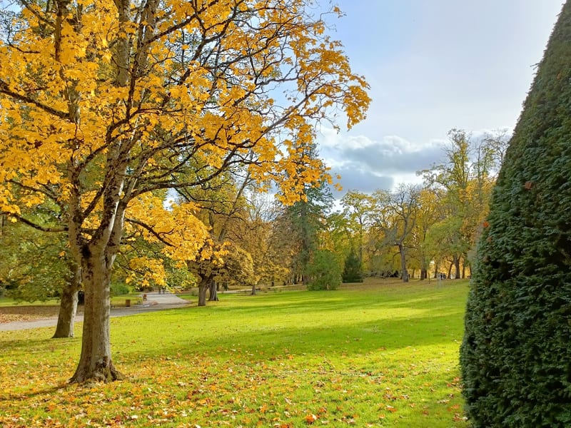 Parc Napoléon III