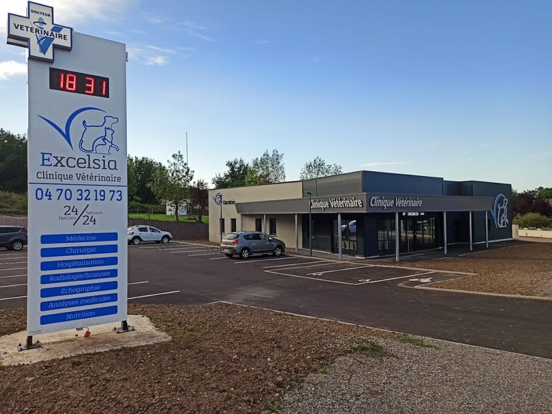Clinique Vétérinaire Excelsia