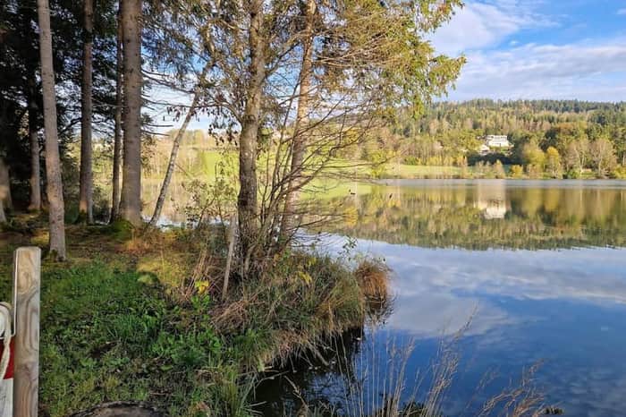 Hundebadeplatz Sattendorf (Ossiacher See)