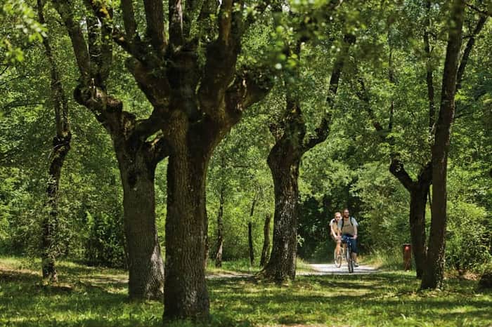 Parque de Armentia