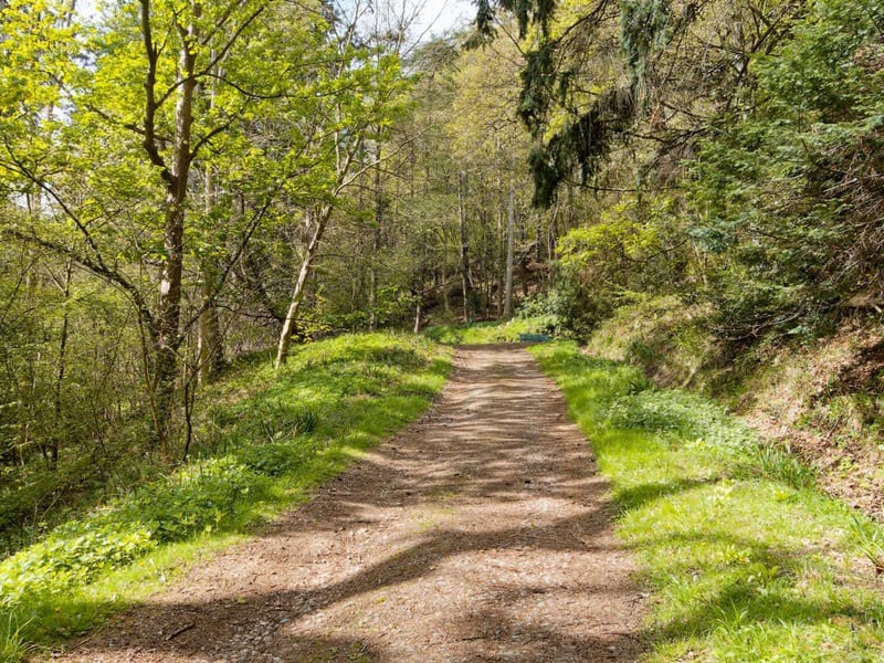 Mulgrave Woods
