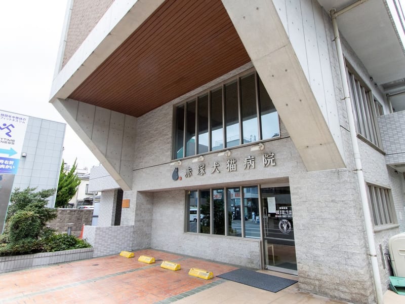 Akatsuka Dog & Cat Hospital (Shimosueyoshi)