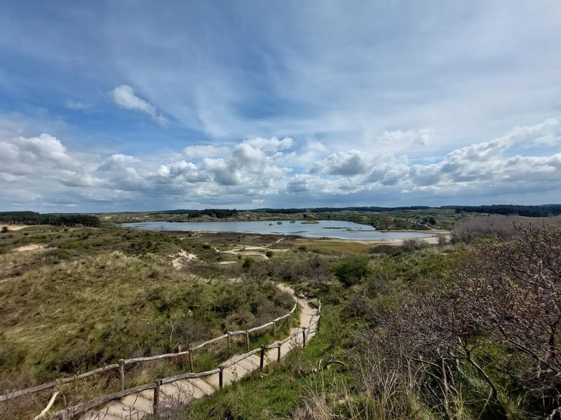 Nationaal Park Zuid-Kennemerland (Kennemerduinen)