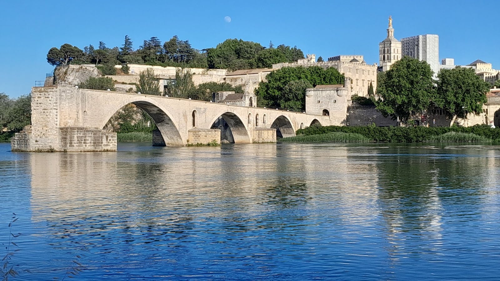 Avignon