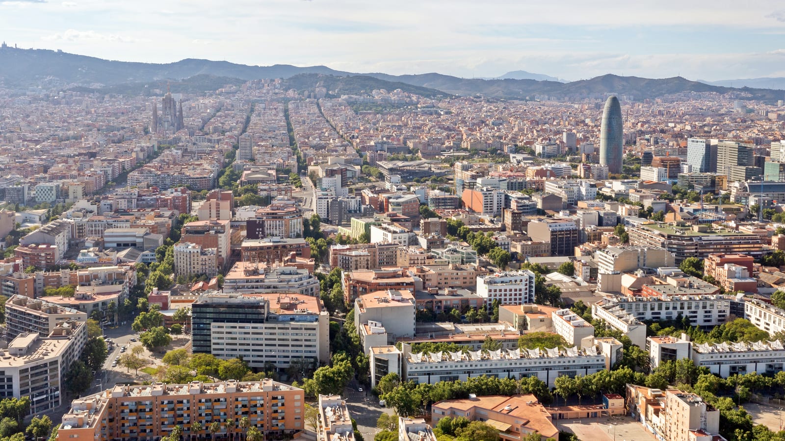 Barcelona, pet-friendly city trip