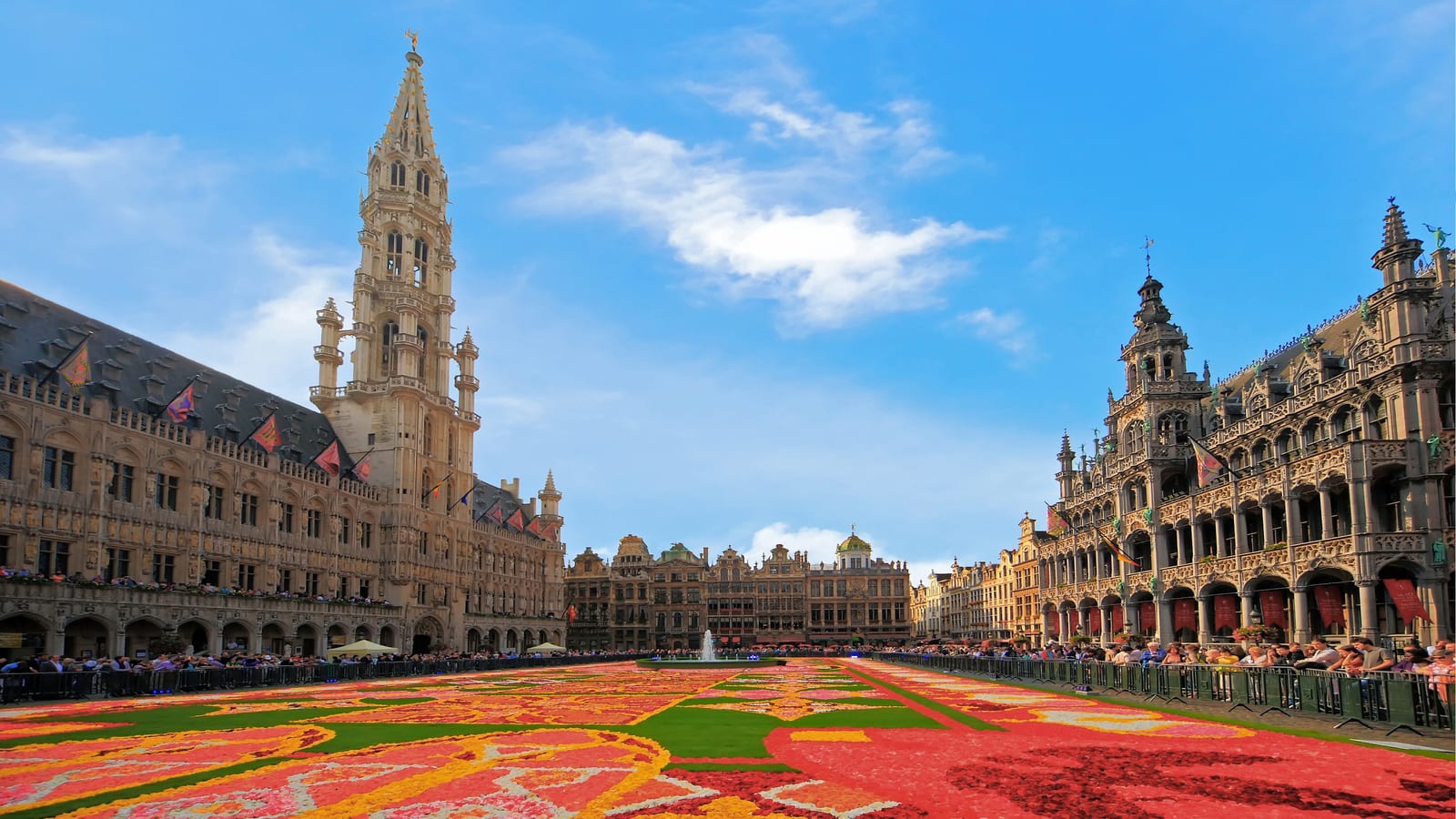 Brussels, pet-friendly city trip
