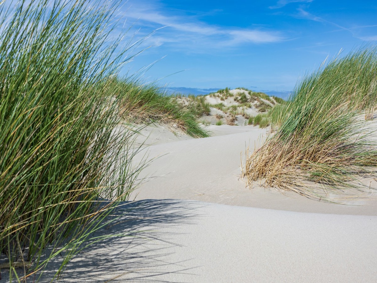 Norderney