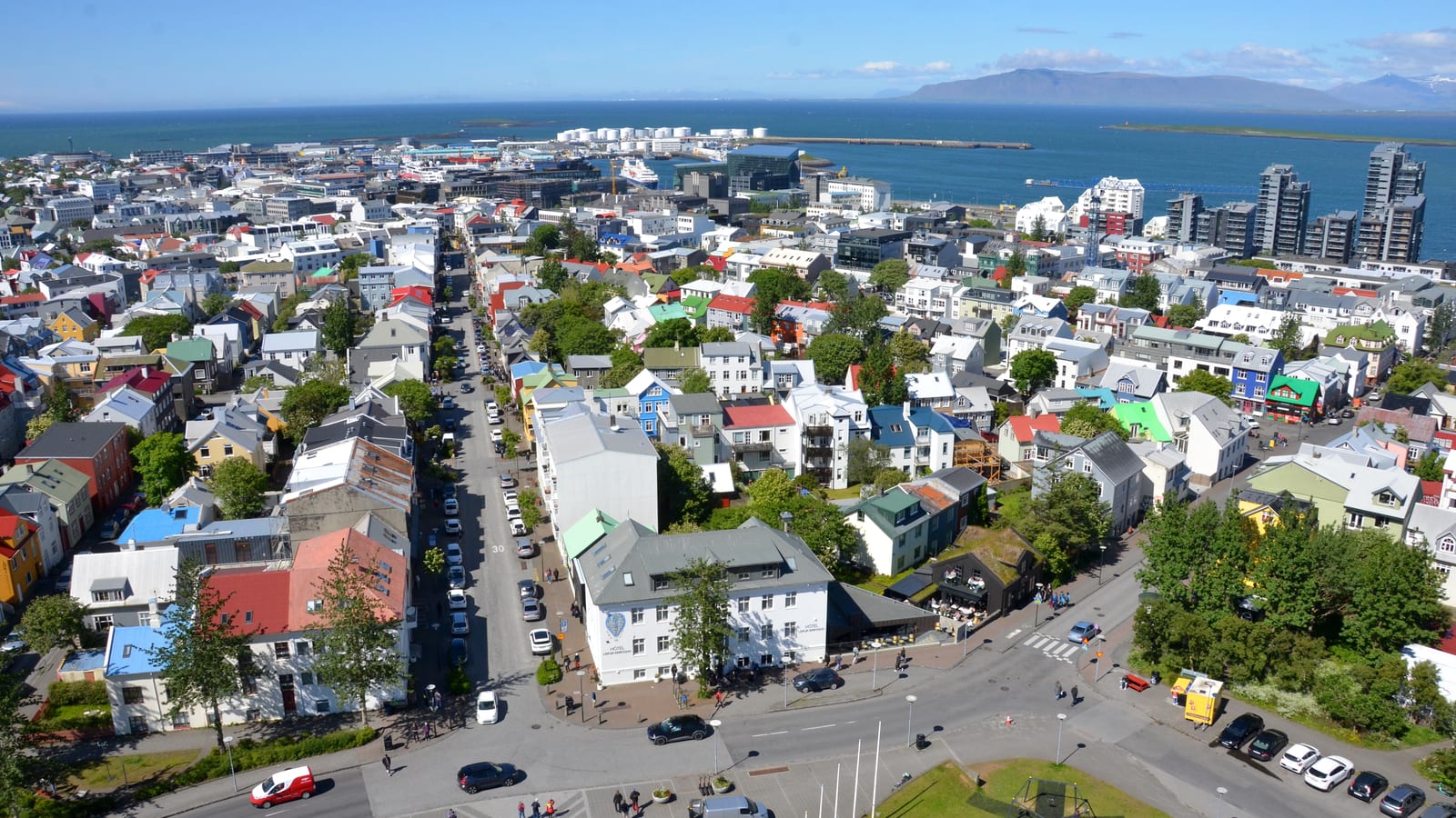 Pet-friendly hotels in Reikiavik, dog-friendly travel Islandia