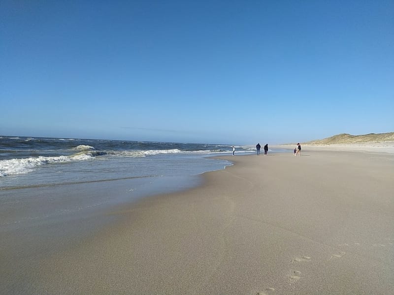 Sylt