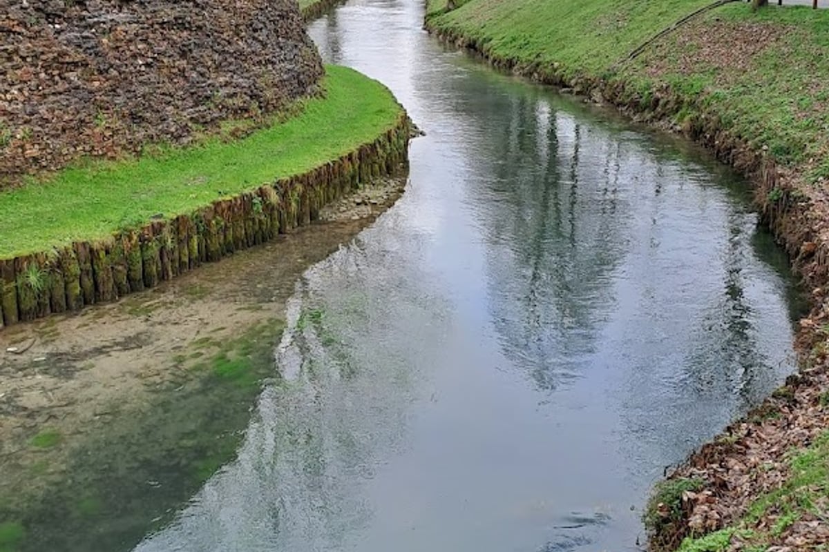 Treviso
