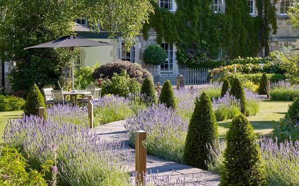 The Royal Crescent Hotel & Spa: Se admiten perros hotel in Bath