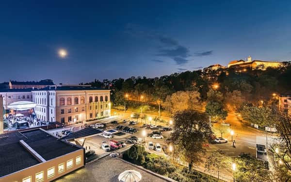 Hotel International Brno: Cat-friendly hotel in Brno