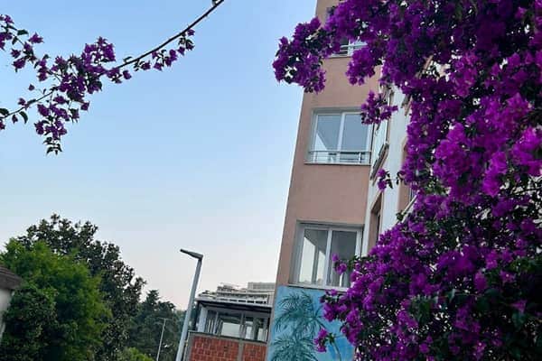 Apartments Mitende