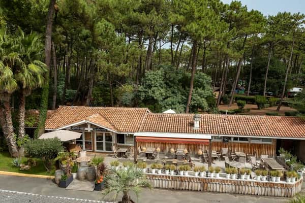 Camping Sandaya Le Truc Vert: Cat-friendly hotel in Cap Ferret