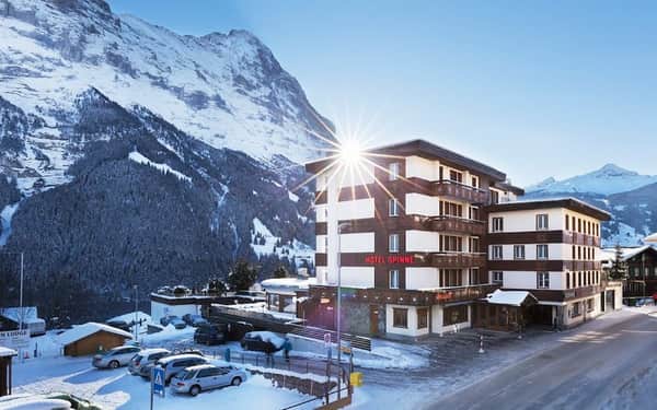 Hotel Spinne
