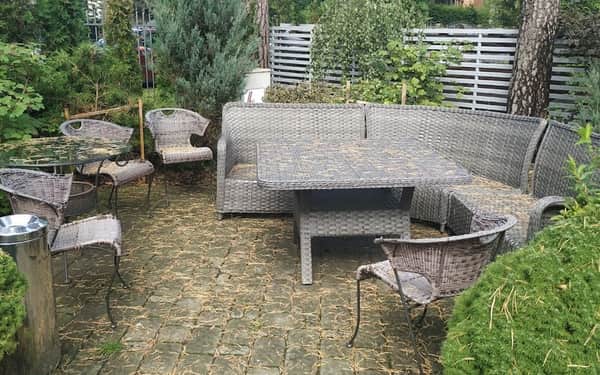 SUNSET Hotel Jurmala: Chats acceptés hotel in Jurmala