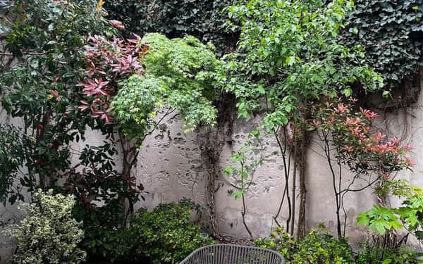 Hôtel La Monnaie Art & Spa: Cat-friendly hotel in La Rochelle