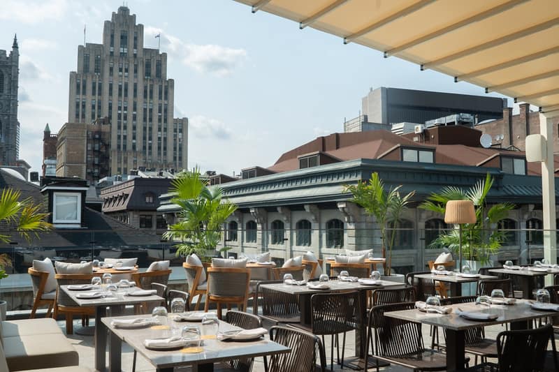 Hotel Nelligan: Se admiten gatos hotel in Montréal