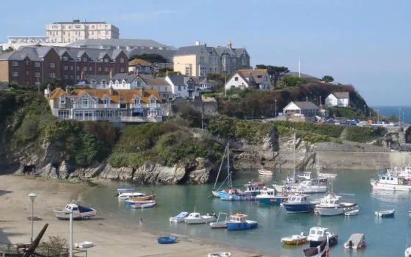 The Harbour: Cat-friendly hotel in Newquay
