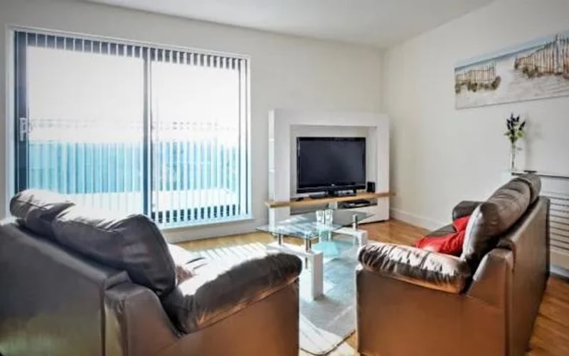 SeaQuest 8: Cat-friendly hotel in Newquay