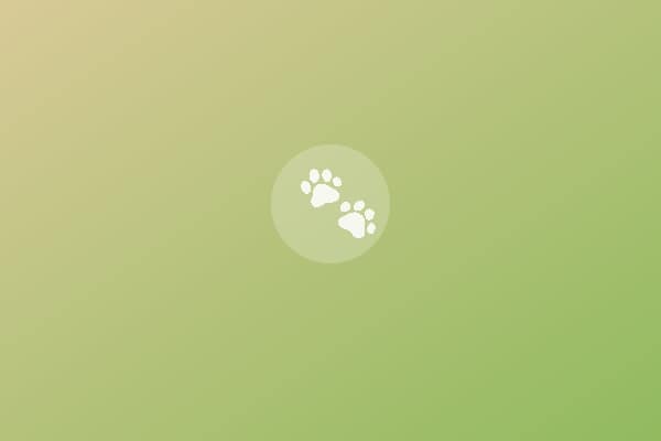 Hotel Désirée. Garda Lake Collection: Cat-friendly hotel in Sirmione