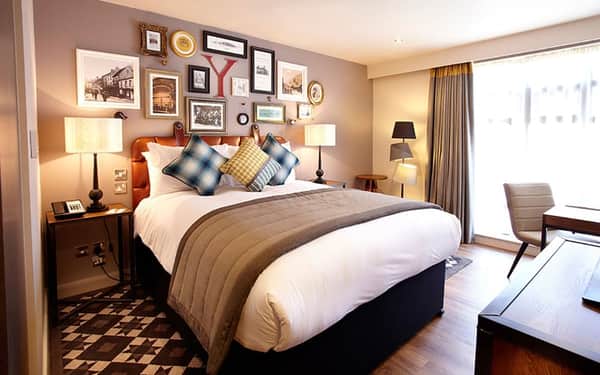 Hotel Indigo York: Se admiten gatos hotel in York