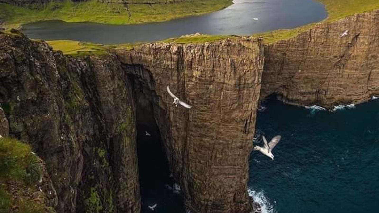 Pet-friendly hotels on Faroe Islands, dog-friendly travel Faroe Islands