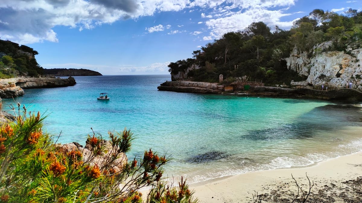 Villas con piscina que admiten perros en Mallorca